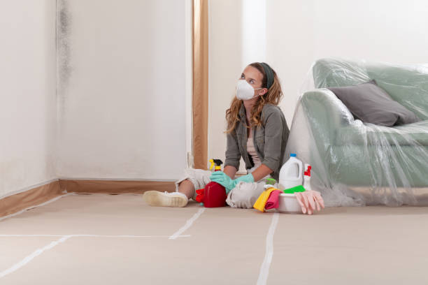 Reliable Black Mold Removal contractor in Luthersburg, PA by WQB Mold Removal